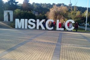 IMG-20191010-WA0003 web