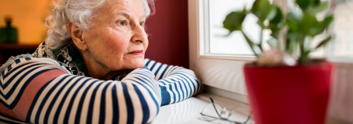 Senior_autor foto_didesign web