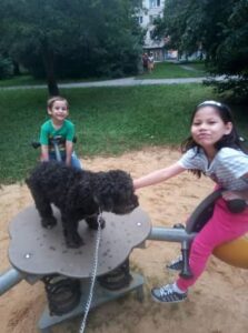 Obrázky ze soutěže Místo zvané domov, projekt Sociální bydlení v Ostravě. web Sociální věci Ostrava