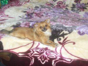 Obrázky ze soutěže Místo zvané domov, projekt Sociální bydlení v Ostravě. web Sociální věci Ostrava